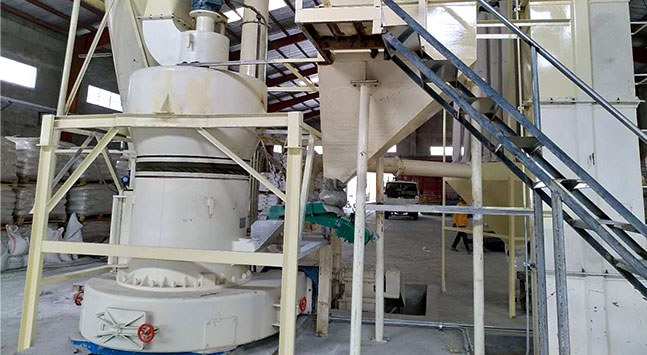 8 TPH Limestone Grinding Plant in Philippines