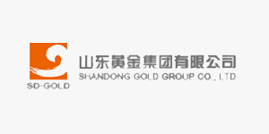 Shandong Gold Mining