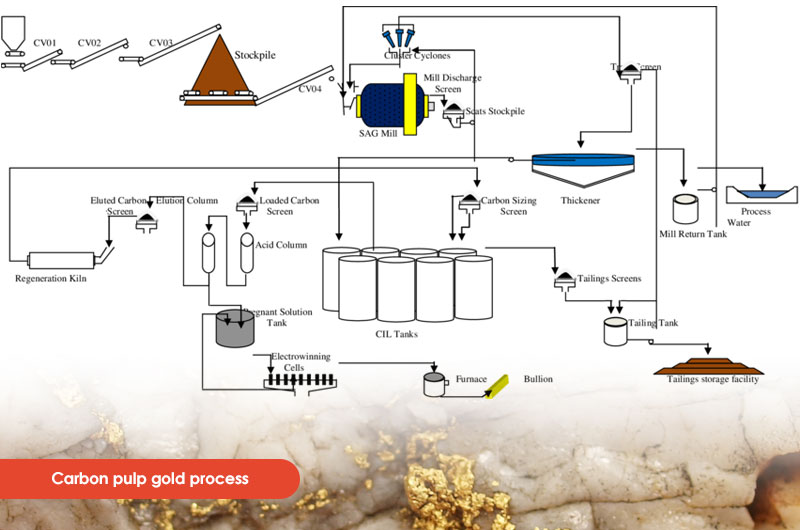 Carbon Pulp Gold Process