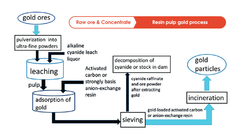 Resin Pulp Gold Process