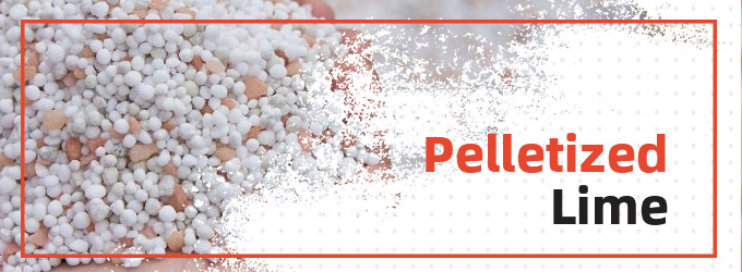 Pelletized Lime Production: A Detailed How-to Guide
